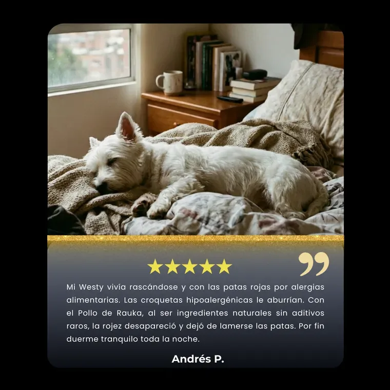 Andr&eacute;s P.