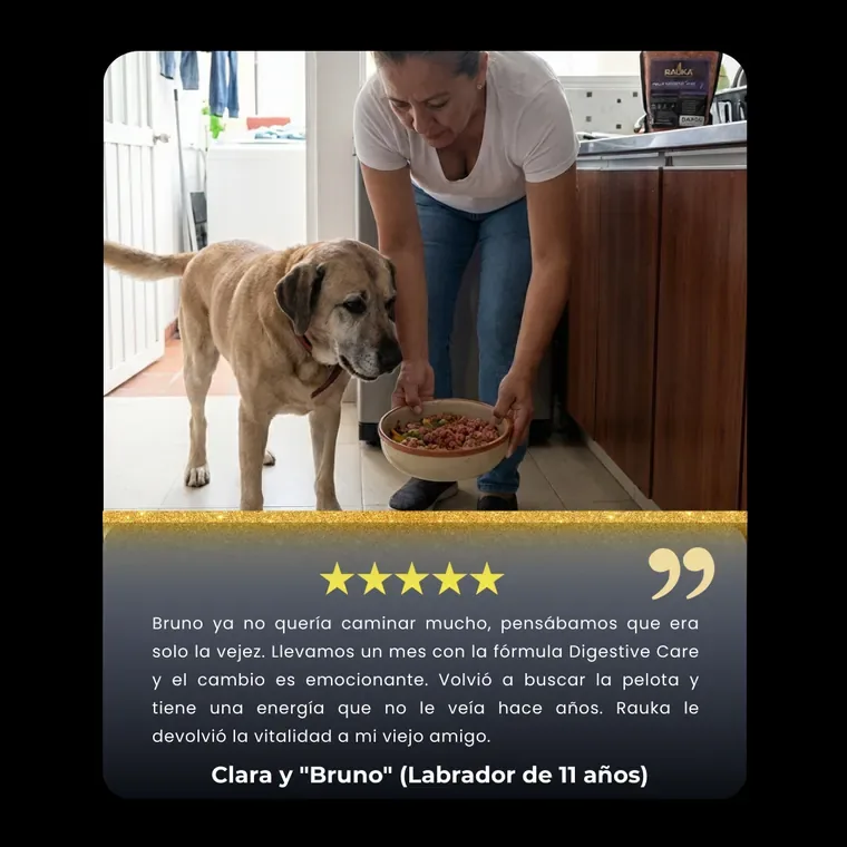 Clara y "Bruno" (Labrador de 11 a&ntilde;os)