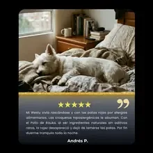 Andr&eacute;s P.