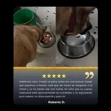 Roberto D.